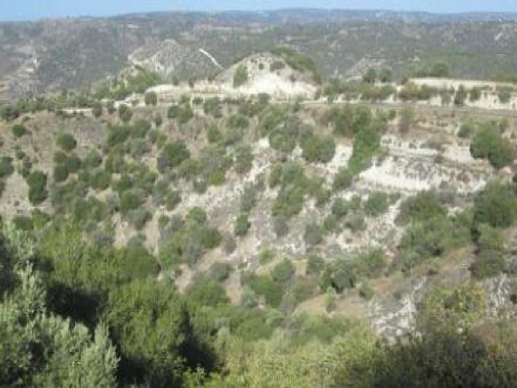 Kelokedara, Paphos Agricultural Field For Sale | WW30374
