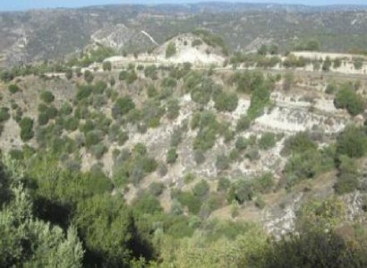 Kelokedara, Paphos Agricultural Field For Sale | WW30374