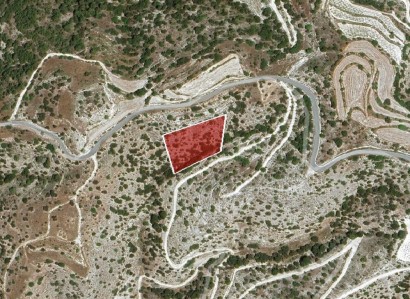 Kelokedara, Paphos Agricultural Field For Sale | WW30374