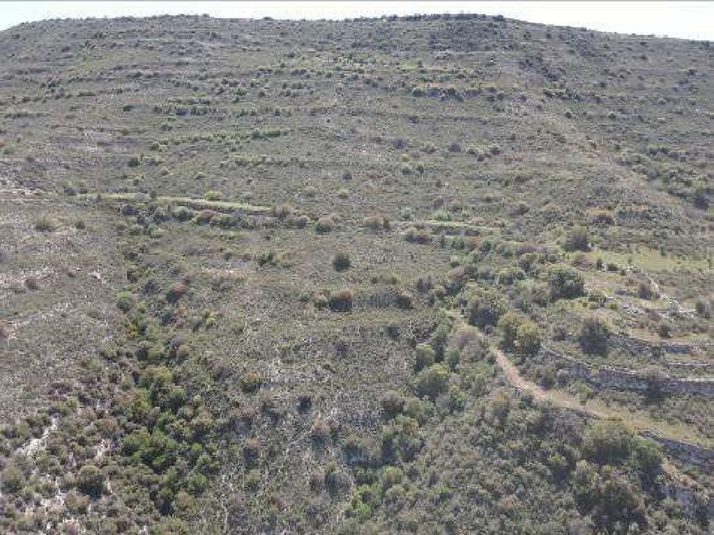 Dora, Limassol Agricultural Field For Sale | WW30583