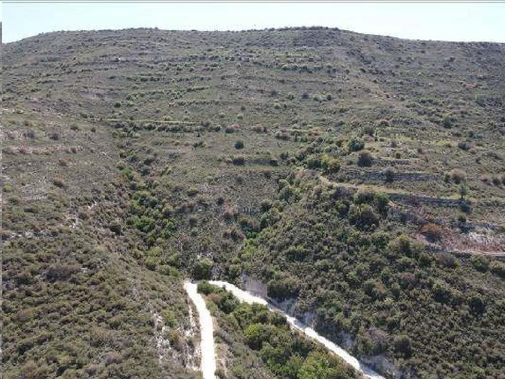 Field - Dora, Limassol