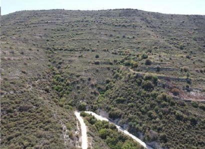 Dora, Limassol Agricultural Field For Sale | WW30583