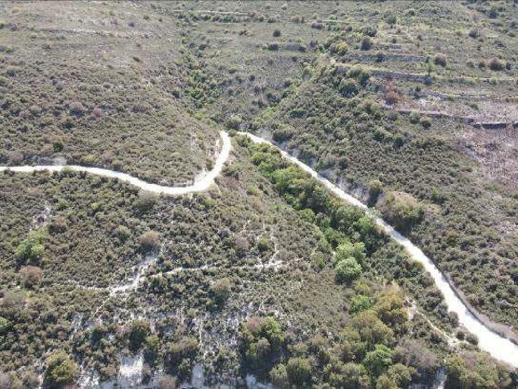 Field - Dora, Limassol