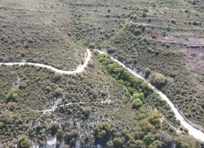 Dora, Limassol Agricultural Field For Sale | WW30583