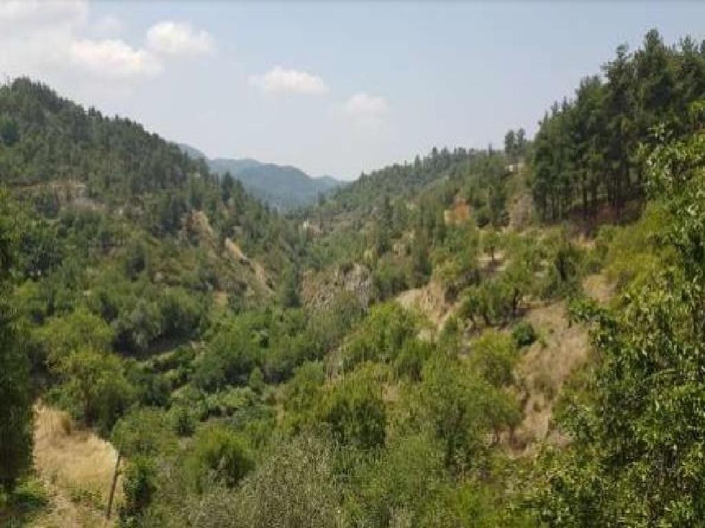 Pelendri, Limassol Agricultural Field For Sale | WW30585