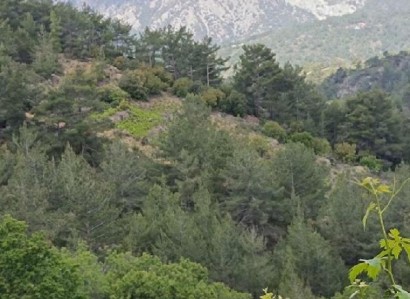 Pelendri, Limassol Agricultural Field For Sale | WW30585