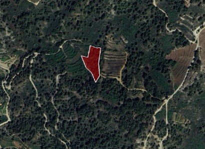 Pelendri, Limassol Agricultural Field For Sale | WW30585