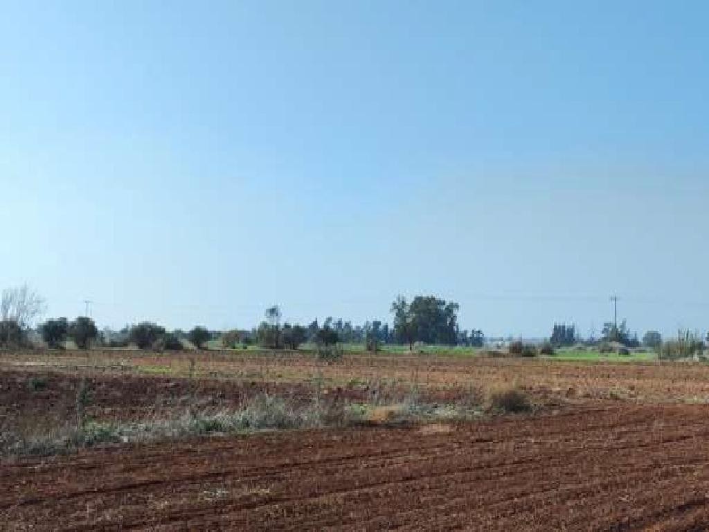 Avgorou, Famagusta Agricultural Field For Sale | WW30588