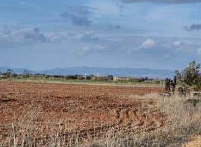 Avgorou, Famagusta Agricultural Field For Sale | WW30588