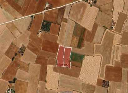 Avgorou, Famagusta Agricultural Field For Sale | WW30588