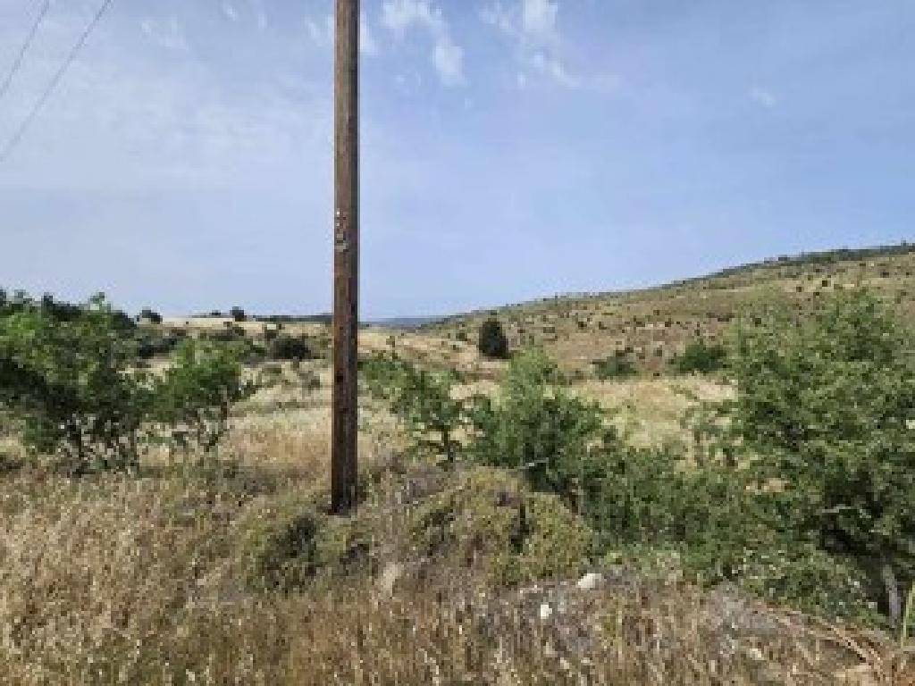 Pentalia, Paphos Agricultural Field For Sale | WW30595