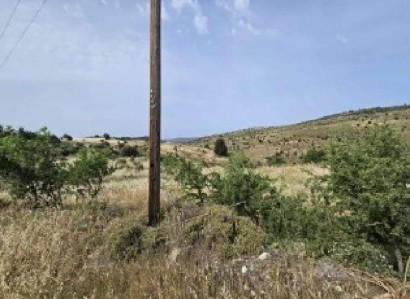 Pentalia, Paphos Agricultural Field For Sale | WW30595