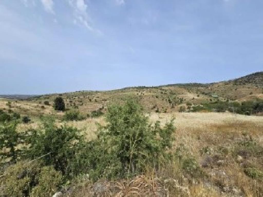 Field - Pentalia, Paphos