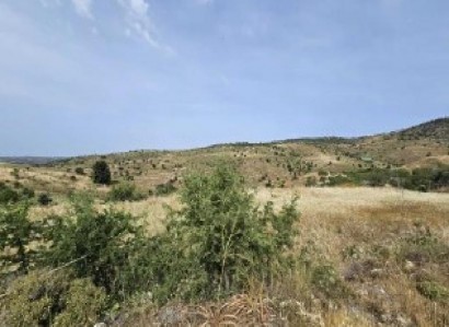 Pentalia, Paphos Agricultural Field For Sale | WW30595