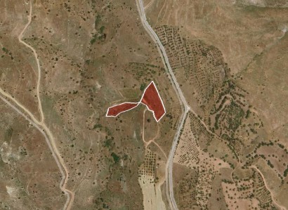Pentalia, Paphos Agricultural Field For Sale | WW30595