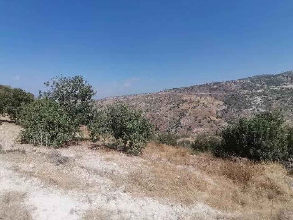 Koili, Paphos Agricultural Field For Sale | WW30596