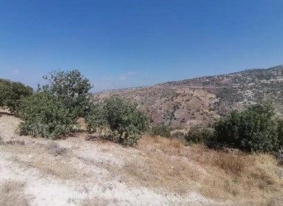 Koili, Paphos Agricultural Field For Sale | WW30596