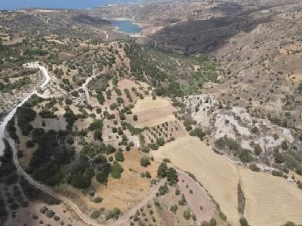 Field - Koili, Paphos