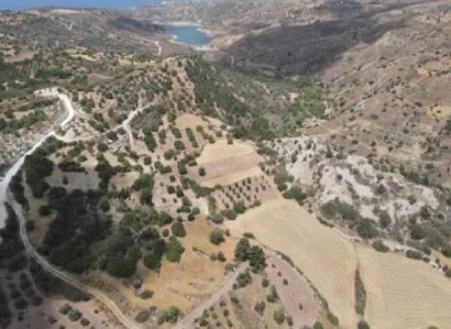 Koili, Paphos Agricultural Field For Sale | WW30596