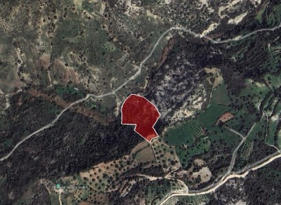 Koili, Paphos Agricultural Field For Sale | WW30596