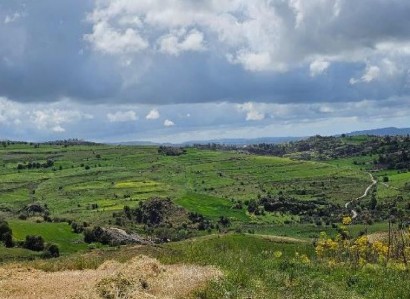 Thrinia, Paphos Agricultural Field For Sale | WW30598