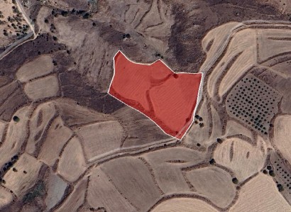 Thrinia, Paphos Agricultural Field For Sale | WW30598