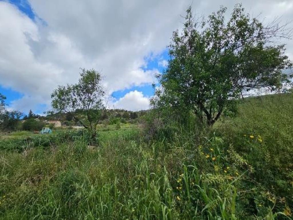 Thrinia, Paphos Agricultural Field For Sale | WW30599
