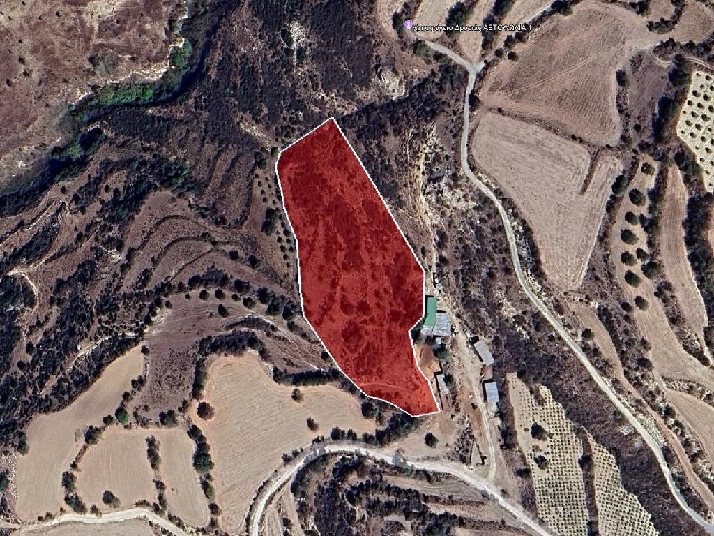 Field - Thrinia, Paphos