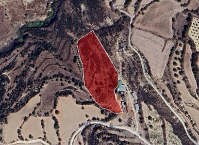 Thrinia, Paphos Agricultural Field For Sale | WW30599