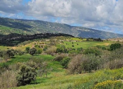 Thrinia, Paphos Residential Field For Sale | WW30600