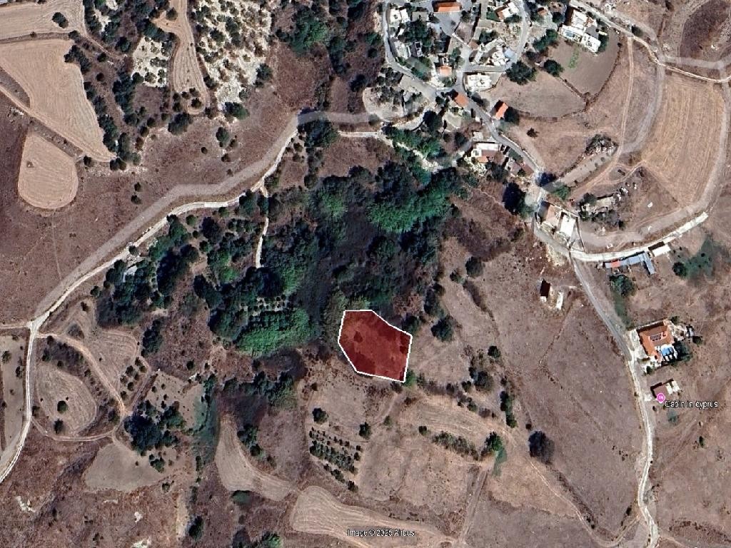 Field - Thrinia, Paphos