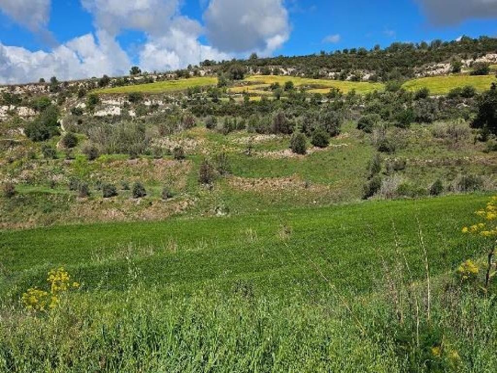 Thrinia, Paphos Agricultural Field For Sale | WW30602