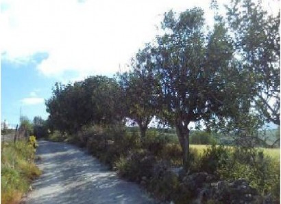 Thrinia, Paphos Agricultural Field For Sale | WW30603