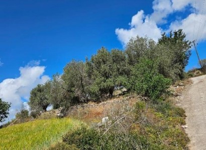 Thrinia, Paphos Agricultural Field For Sale | WW30603