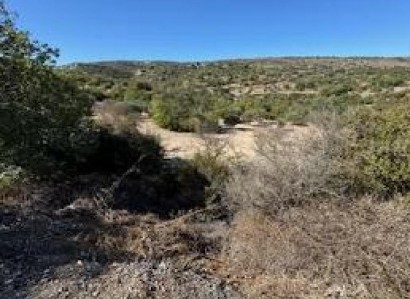 Drymou, Paphos Agricultural Field For Sale | WW30607