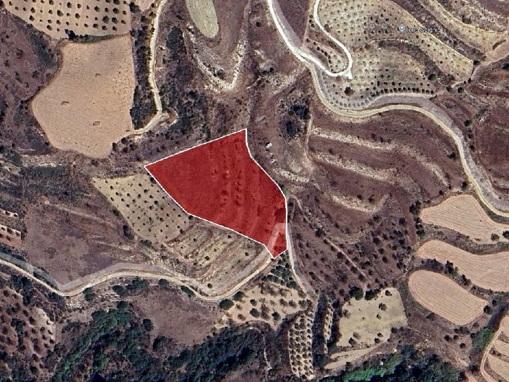 Field - Drymou, Paphos