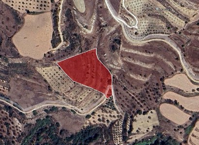 Drymou, Paphos Agricultural Field For Sale | WW30607