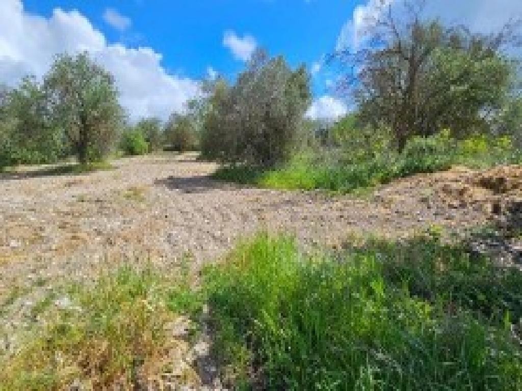 Thrinia, Paphos Residential Field For Sale | WW30608