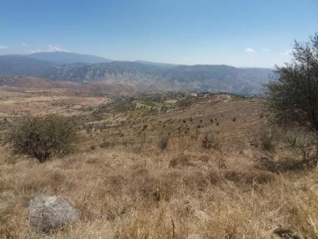 Galataria, Paphos Agricultural Field For Sale | WW30610