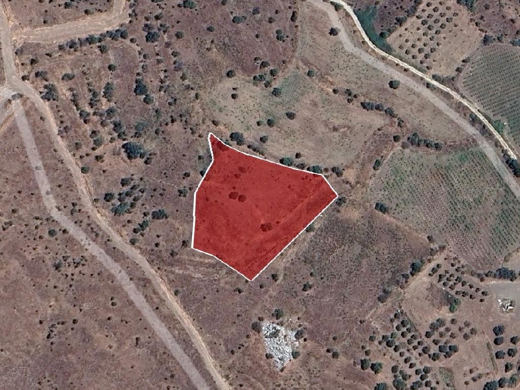 Field - Galataria, Paphos