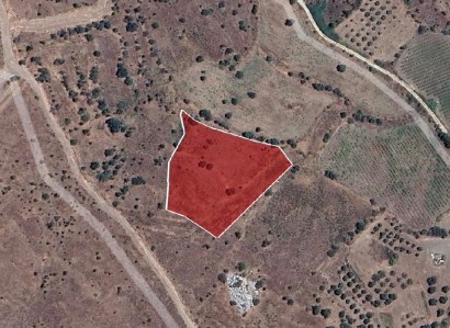 Galataria, Paphos Agricultural Field For Sale | WW30610