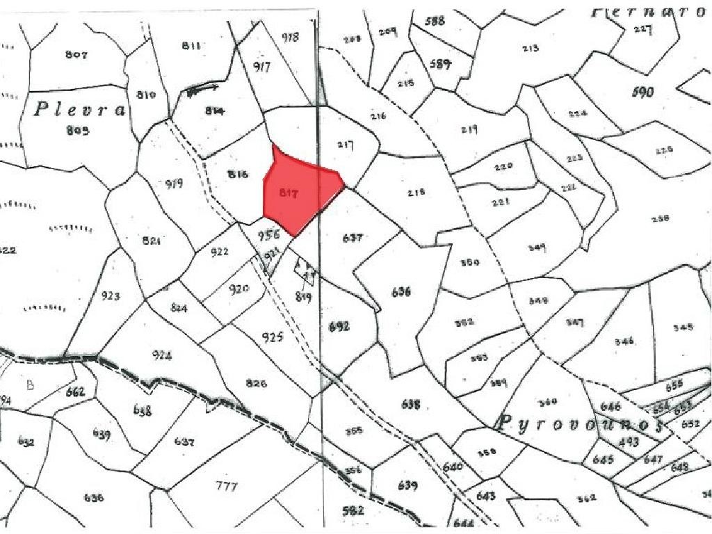 Field - Galataria, Paphos