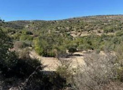 Drymou, Paphos Agricultural Field For Sale | WW30611