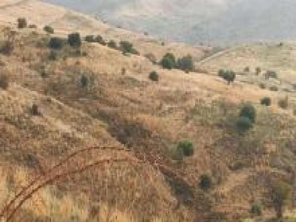 Salamiou, Paphos Agricultural Field For Sale | WW30612