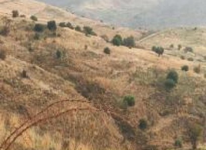 Salamiou, Paphos Agricultural Field For Sale | WW30612