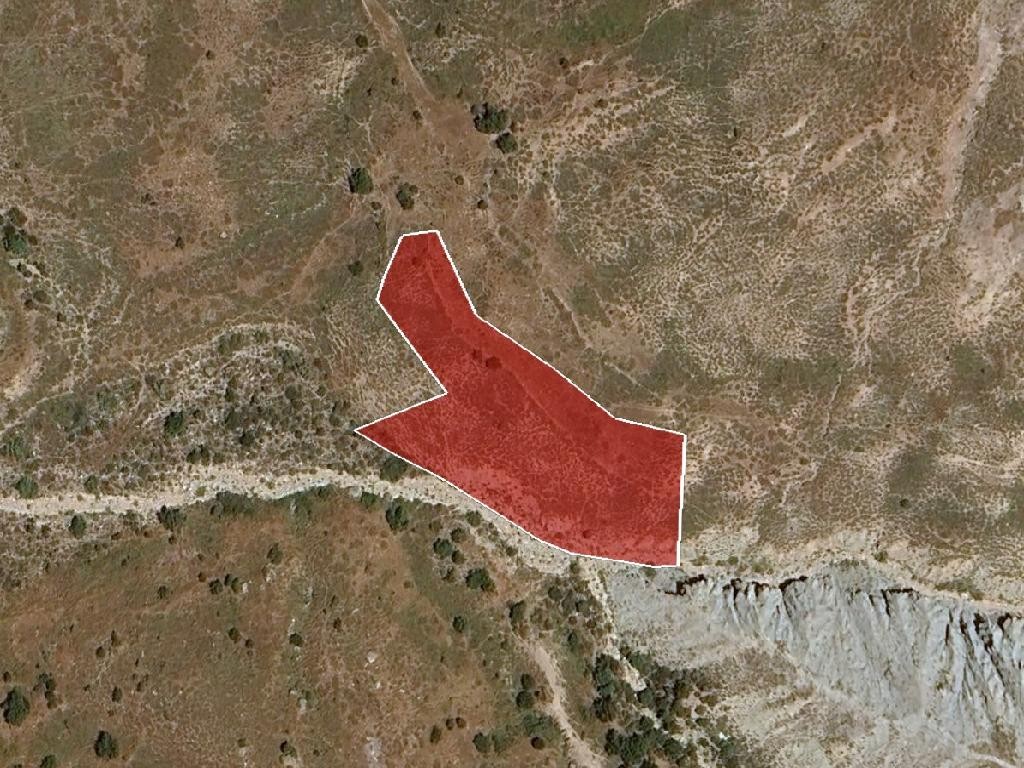 Field - Salamiou, Paphos