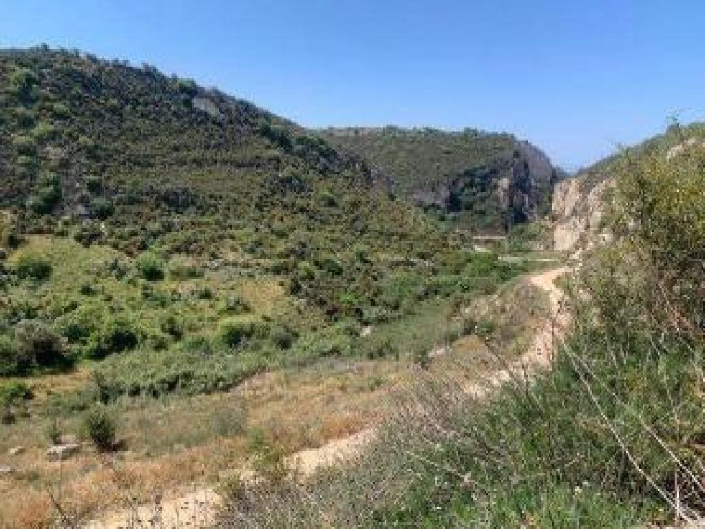 Kathikas, Paphos Agricultural Field For Sale | WW30616