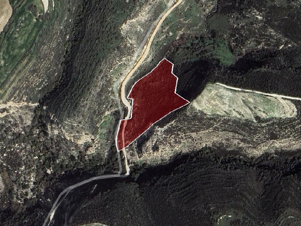 Field - Kathikas, Paphos