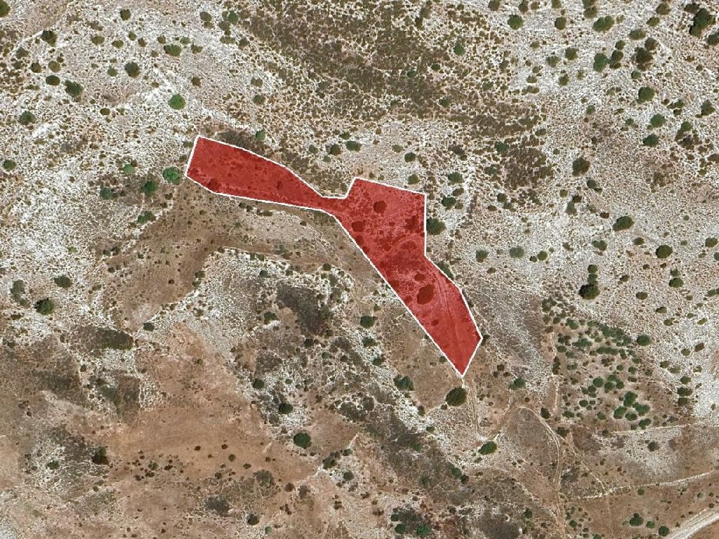 Field - Kedares, Paphos