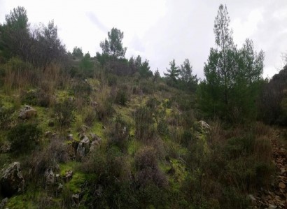 Fikardou, Nicosia Agricultural Field For Sale | WW30638